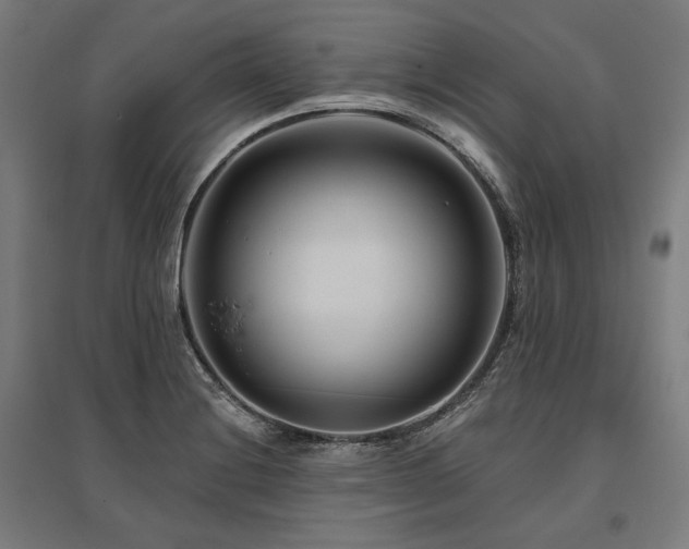 X0000096171228200801181243