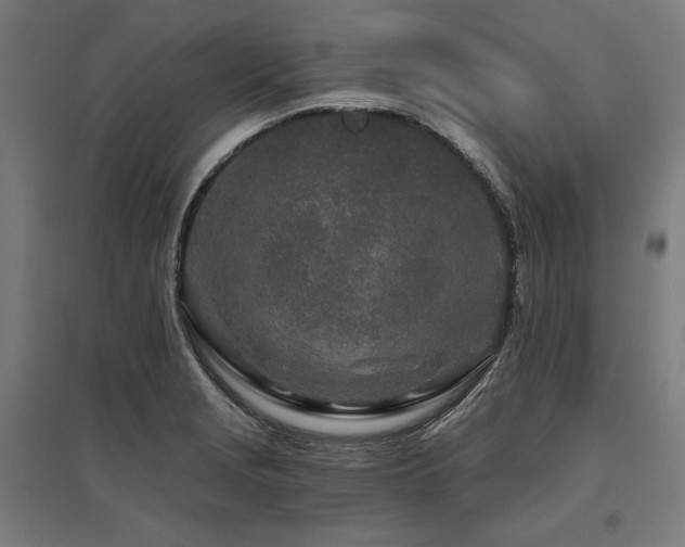 X0000096171229200801181243