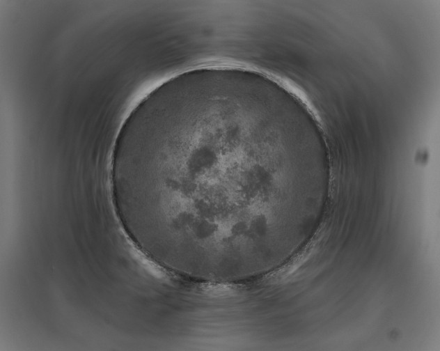 X0000096171231200801181243