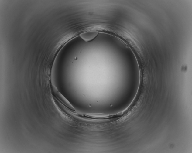 X0000096171233200801181243