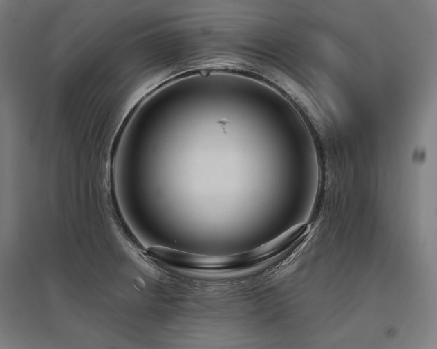X0000096171234200801181243