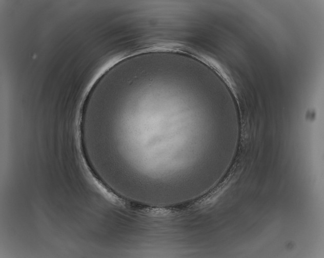 X0000096171235200801181243