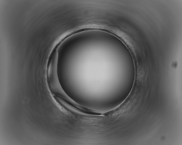 X0000096171237200801181243