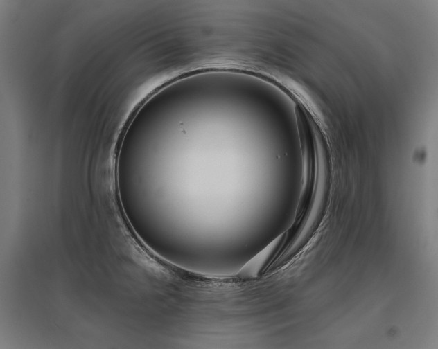 X0000096171238200801181243