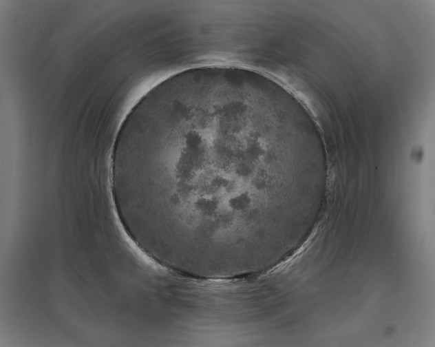X0000096171239200801181243