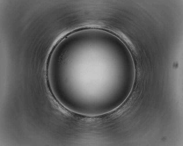 X0000096171240200801181243