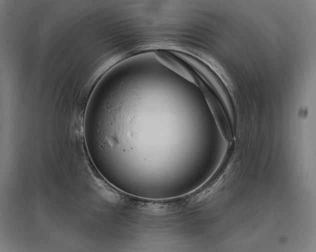 X0000096171241200801181243