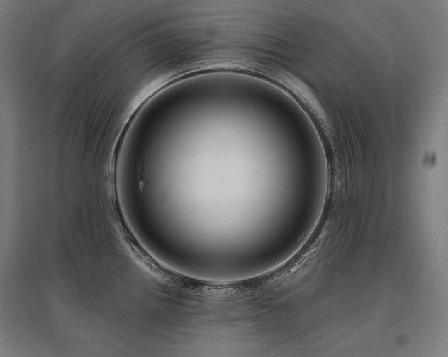 X0000096171242200801181243