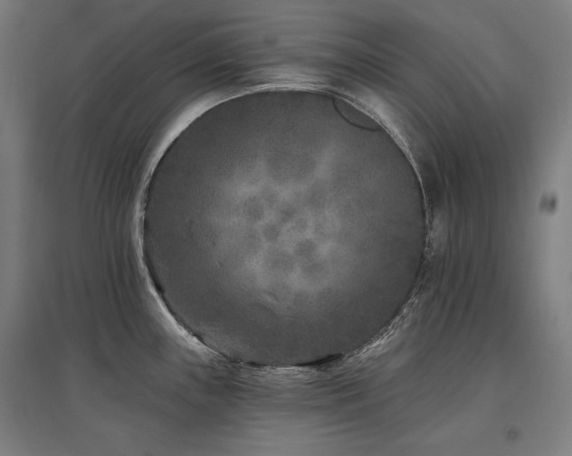 X0000096171243200801181243