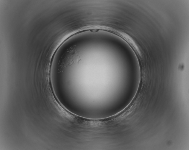 X0000096171244200801181243