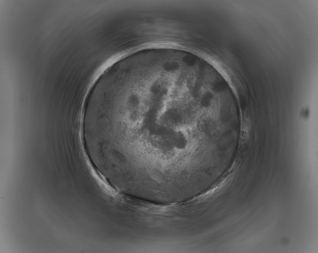 X0000096171245200801181243
