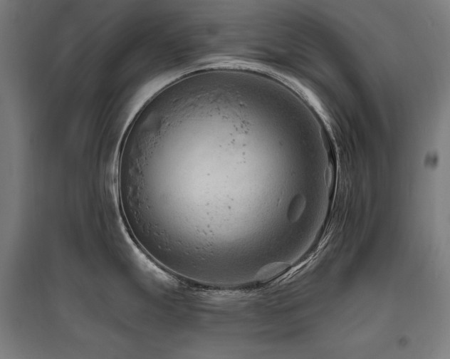 X0000096171247200801181243