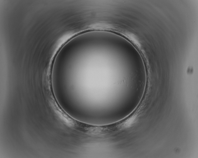 X0000096171248200801181243