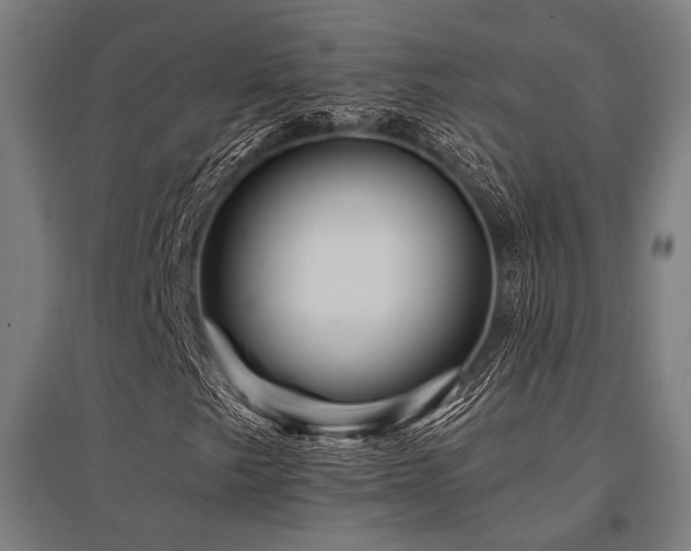 X0000096171249200801181242