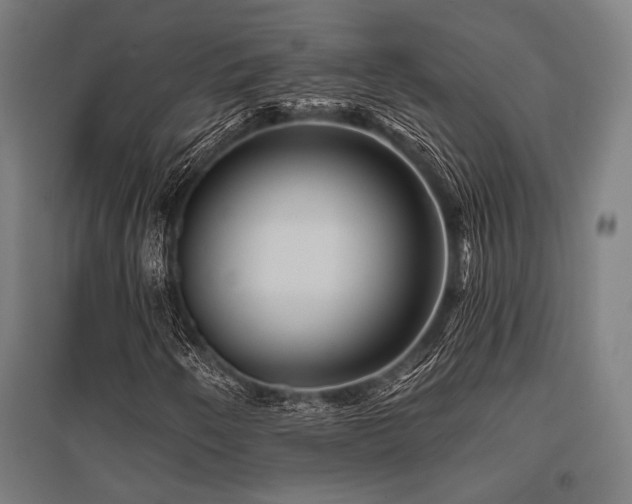 X0000096171250200801181242