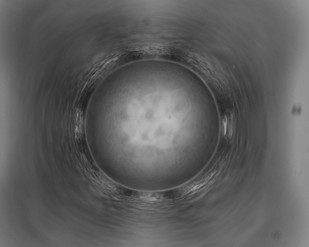 X0000096171251200801181242