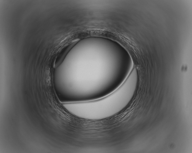 X0000096171252200801181242