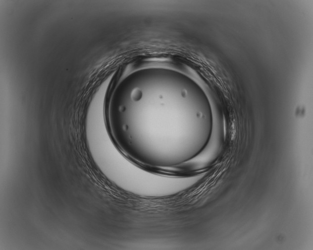 X0000096171253200801181242