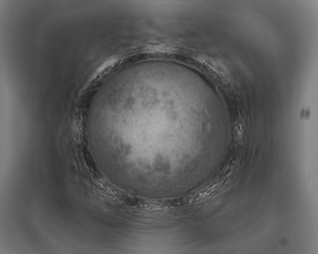 X0000096171254200801181242