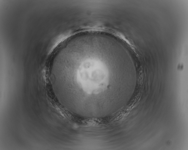 X0000096171255200801181242