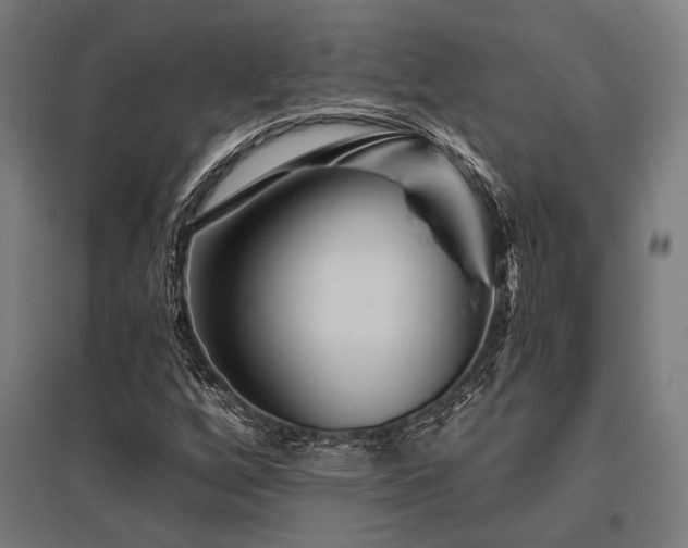 X0000096171256200801181242