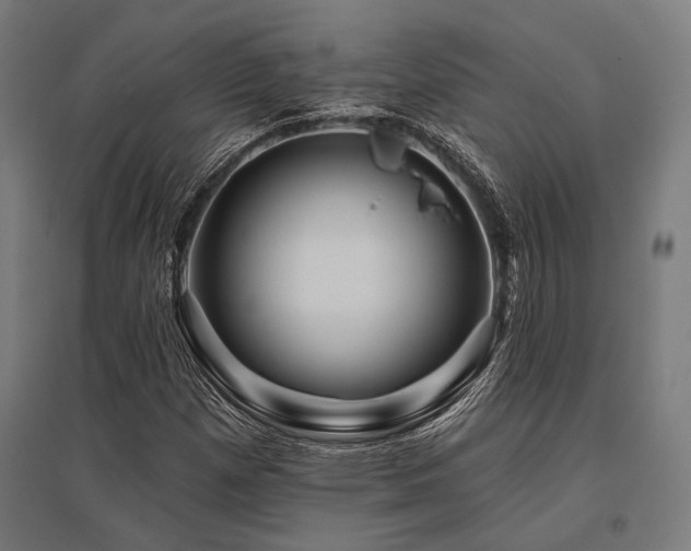 X0000096171257200801181242
