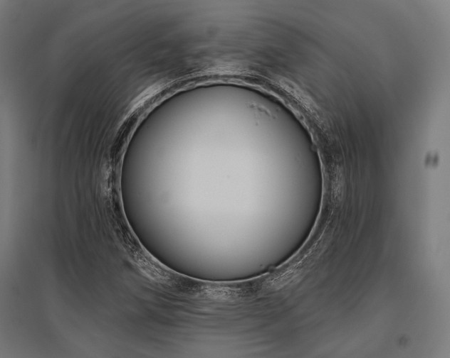 X0000096171258200801181242