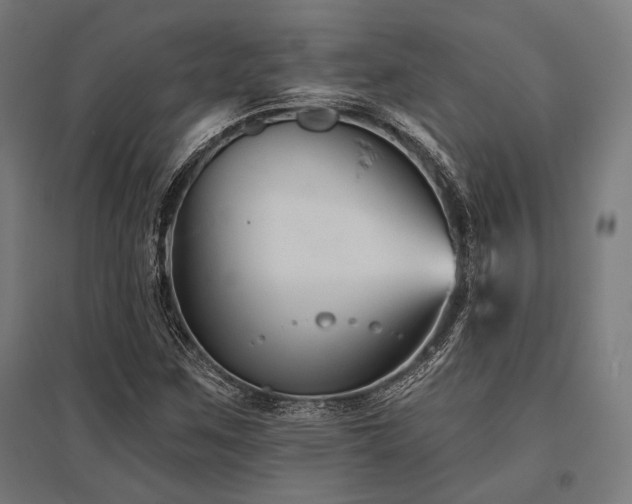 X0000096171259200801181242