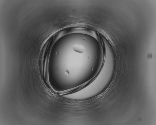 X0000096171260200801181242