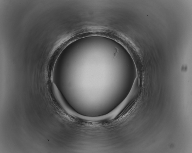 X0000096171261200801181242
