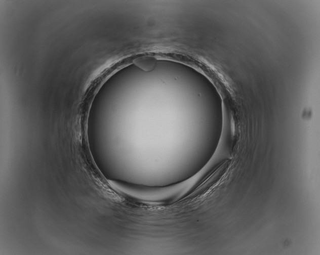 X0000096171262200801181242