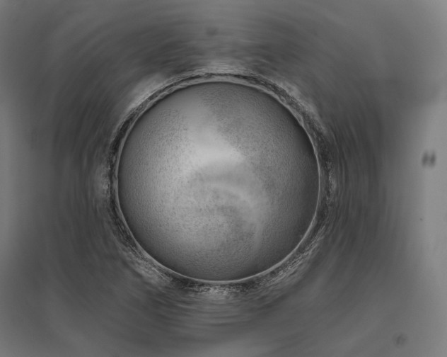 X0000096171266200801181242