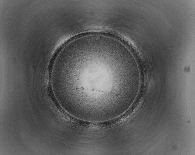 X0000096171267200801181242