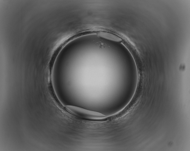 X0000096171269200801181242