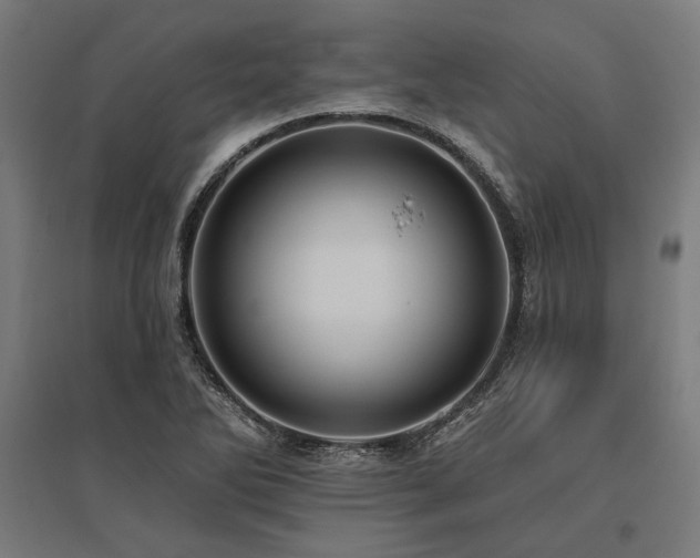 X0000096171270200801181242