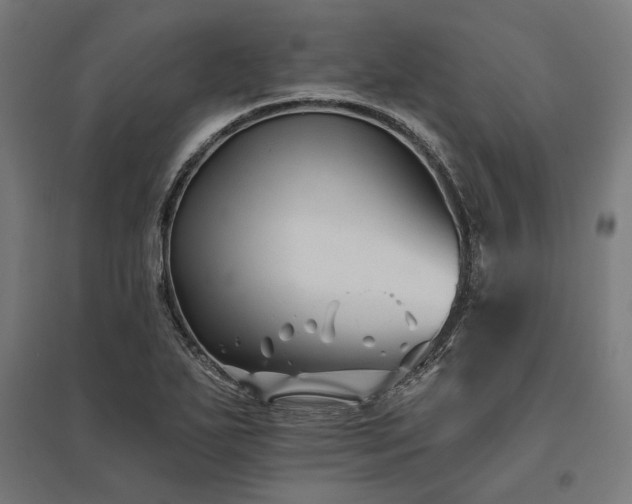 X0000096171271200801181242