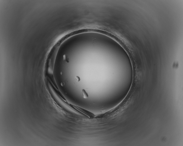 X0000096171272200801181242