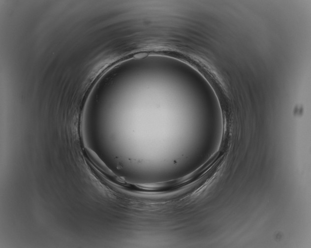 X0000096171273200801181242