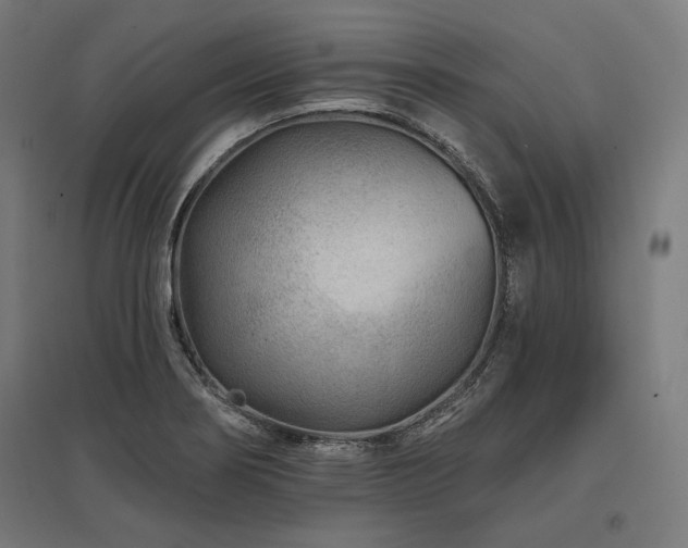 X0000096171274200801181242