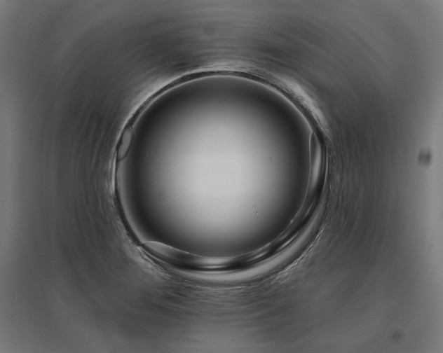 X0000096171276200801181242