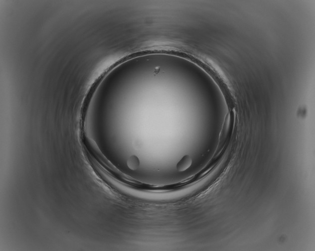 X0000096171277200801181242