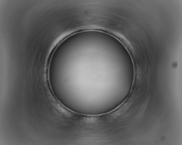 X0000096171278200801181242