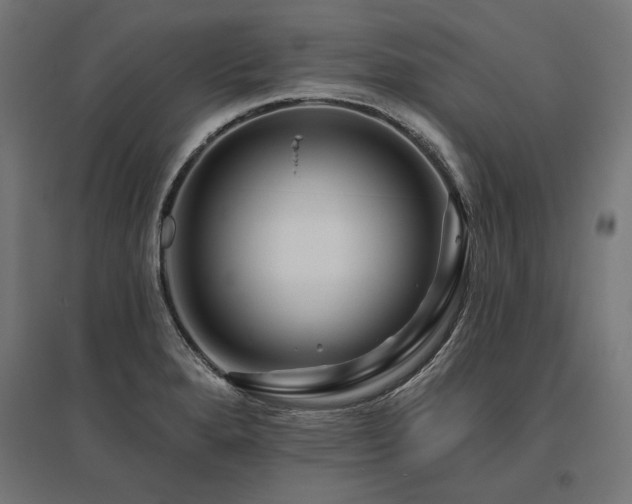 X0000096171280200801181242