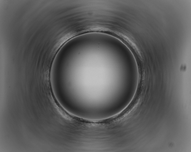 X0000096171281200801181242
