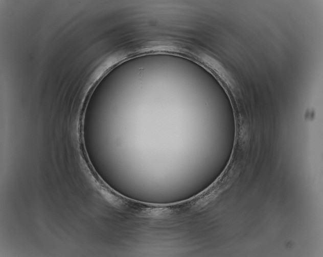 X0000096171282200801181242