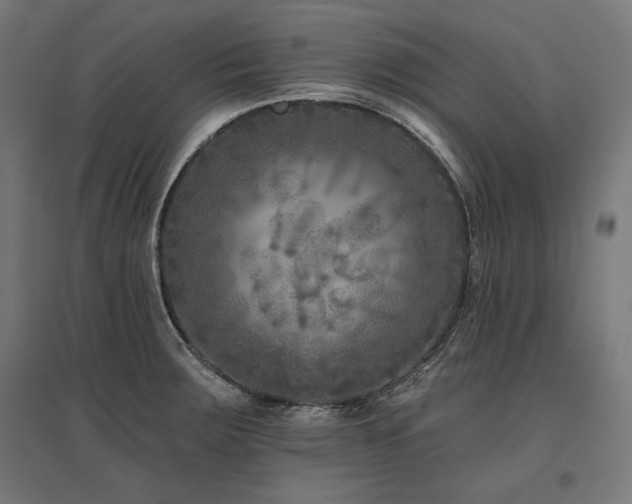 X0000096171283200801181242