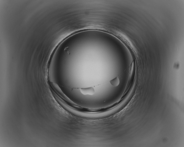 X0000096171284200801181242