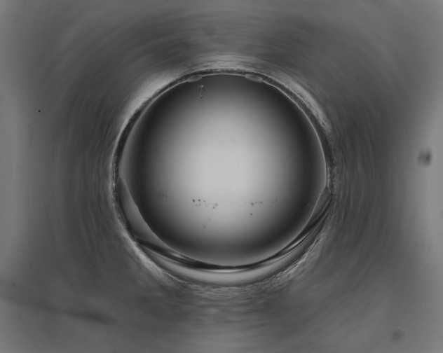 X0000096171285200801181242