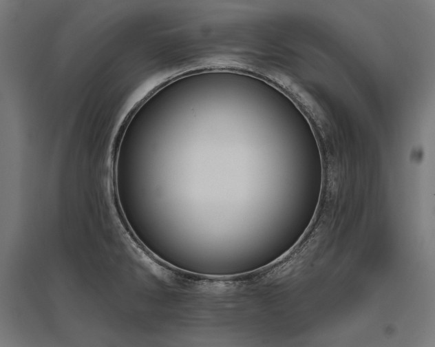 X0000096171286200801181242