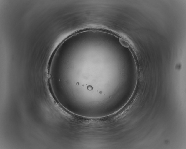 X0000096171287200801181242